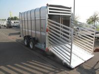 Ifor Williams TA 510 G 434x178x213cm Rampe-Türe Frontlüftung 3,5 t