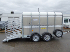 Ifor Williams TA 5 G 310x156x183cm Rampe 2,7 t