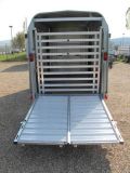 Ifor Williams TA 5 G 310x156x183cm Rampe 2,7 t