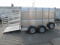 Ifor Williams TA 510 Rampe-Türe-Kombi 311x178x183cm 3,5 t