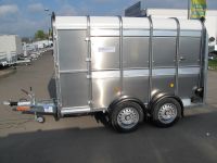 Ifor Williams TA 510 Rampe-Türe-Kombi 311x178x183cm 3,5 t