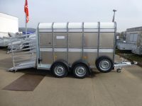 Ifor Williams TA 5 G 310x156x183cm Rampe-Tre 2,7 t