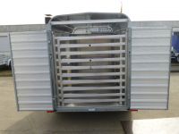 Ifor Williams TA 5 G 310x156x183cm Rampe-Türe 2,7 t