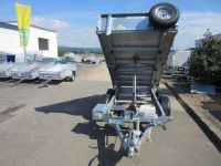 IFOR WILLIAMS TT 3017 STAHL 3,00x1,70m ELEKTRO-/Handpumpe 3,5 t