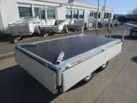 EDUARD 3116 750kg Tandem H-Pumpe LH 72cm 311x160x30cm