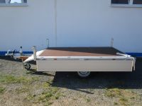 Eduard 3116 750kg Ladehöhe 63cm 3,11x1,60x0,30m