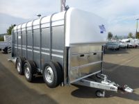 Ifor Williams TA 510 G 434x178x183cm Rampe-Türe-Kombi 3,5 t