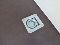 Blyss Plywood Koffer 305x146x180cm SEITENTÜR + Fenster 100km/h 1,3t