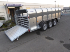 Ifor Williams TA 510 G 3 Achsen Rampe 434x178x122cm 3,5t