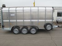Ifor Williams TA 510/T 3 Achsen 434x178x183cm Rampe-Türe 3,5 t