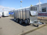 Ifor Williams TA 5 HD 372x156x183cm Rampe 2,7 t