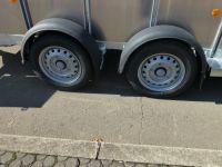 Ifor Williams TA 5 HD 372x156x183cm Rampe 2,7 t