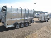 Ifor Williams TA 5 HD 372x156x183cm Rampe 2,7 t
