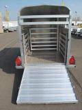 Ifor Williams P 8G VORRAT 250x124x144cm Schafe Ziegen 1,4 t
