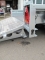 Ifor Williams GX 126 RAMPE + Zurrösen 366x184cm 3,5 t